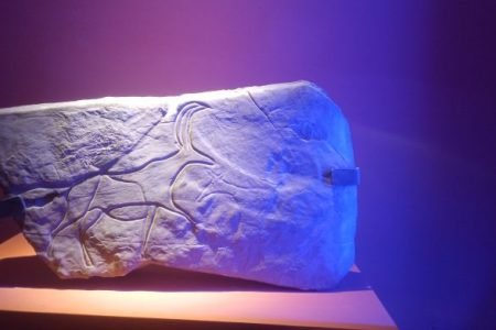 Le Musée du Bardo à Alger : voyage aux origines de l’Algérie