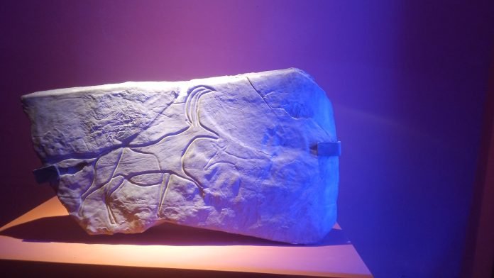 Le Musée du Bardo à Alger : voyage aux origines de l’Algérie